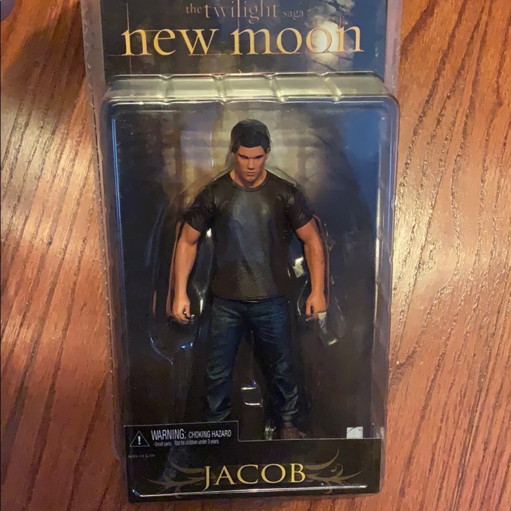 Twilight New Moon Jacob Figure